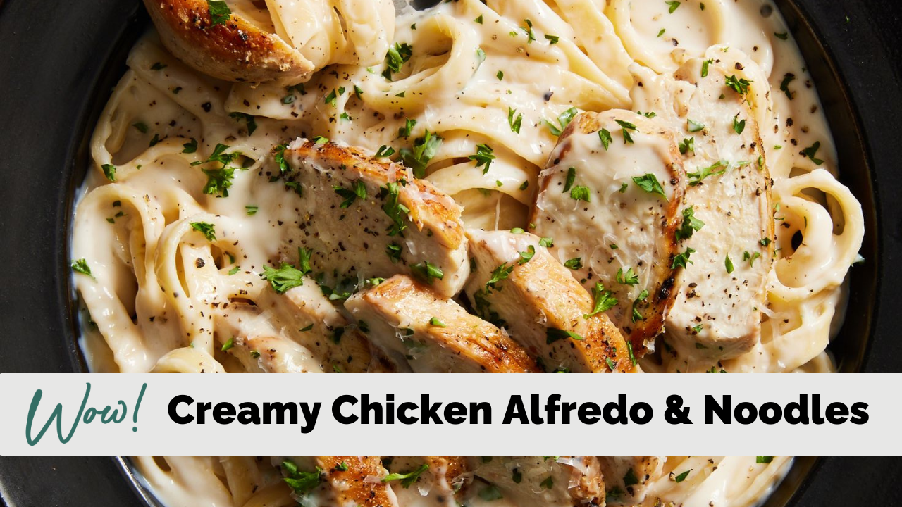 Creamy Chicken Alfredo and Noodles Stacey Hawkins