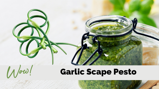 Garlic Scape Pesto